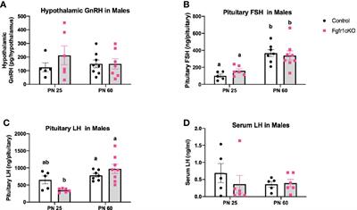 Conditional Fgfr1 Deletion in GnRH Neurons Leads to Minor Disruptions in the Reproductive Axis of Male and Female Mice